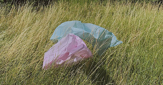 Plastic Bags: Human Paradox, Good or Bad?